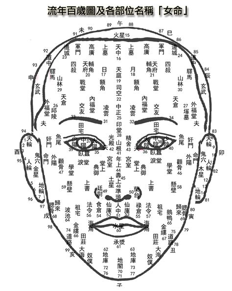 女人面相|女命面相图解大全